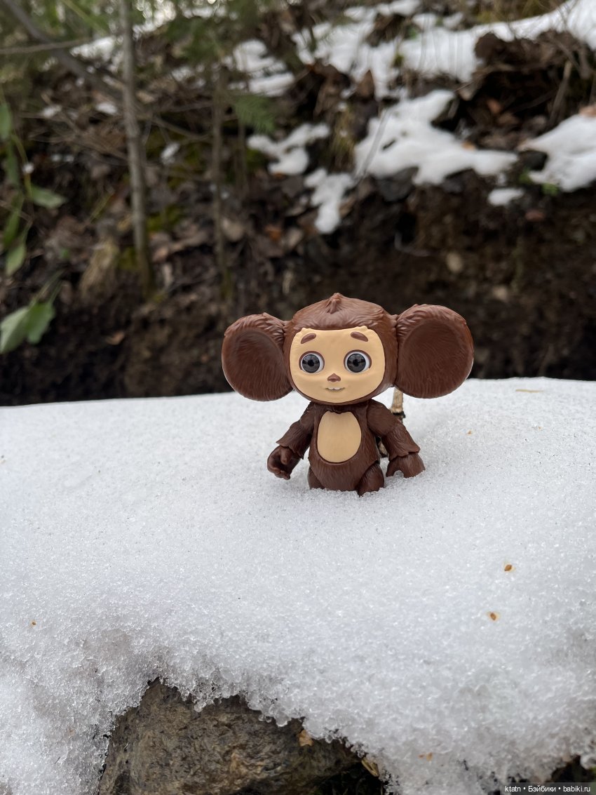 Анфиска, Чебурашка и Столбы) (фото 7)