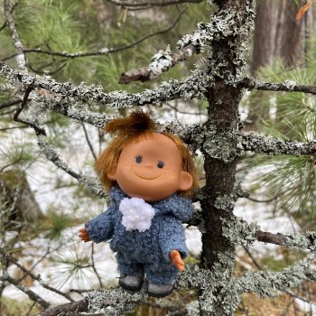 Анфиска, Чебурашка и Столбы)