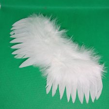 Крылышки для ангелочков.