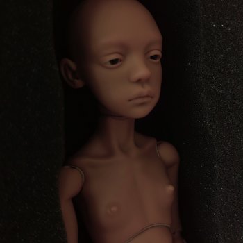 Птичка Лора