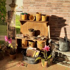 Провинциальная мечта... миниатюра