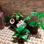 Комнатные цветы ,лот.Миниатюра 1:6