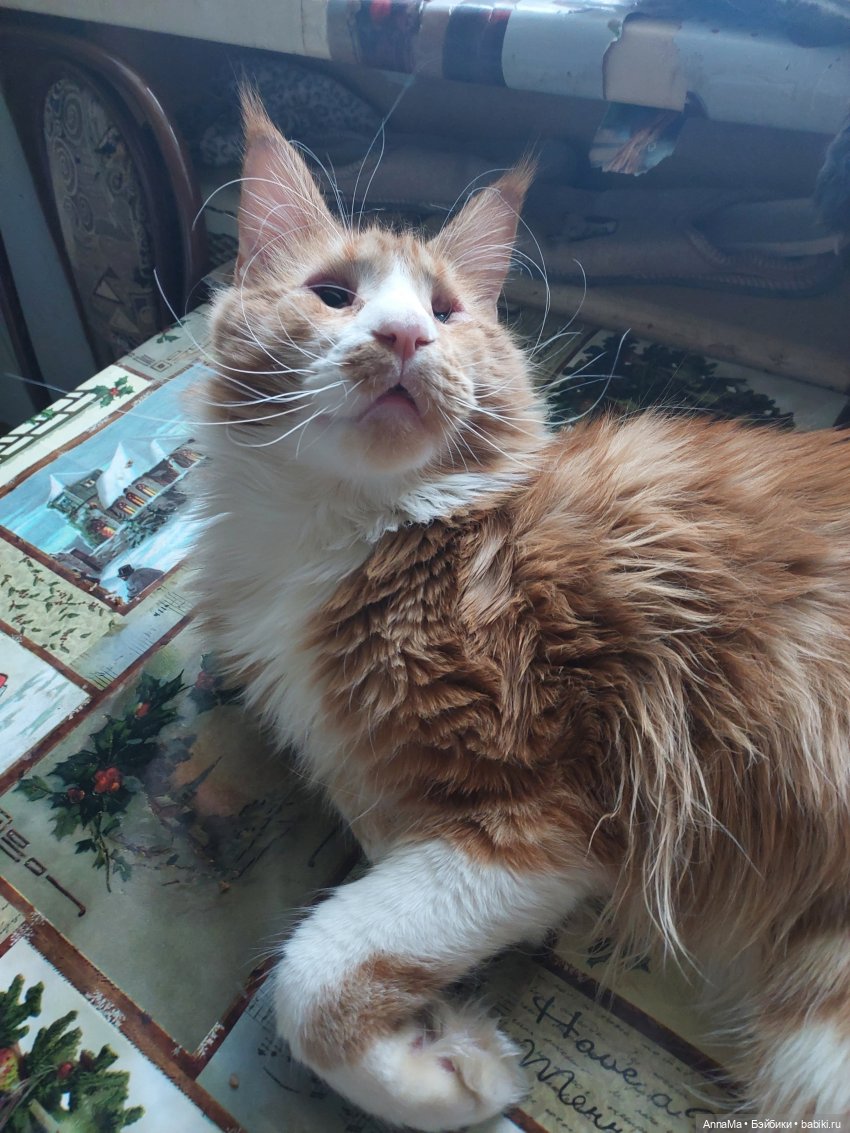 В лесу родилась ёлочка — Редкие антикварные куклы и реплики: воск