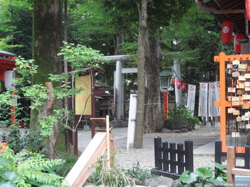 Ностальгия — Куклы и тела Obitsu 11 (Ob11): гибриды