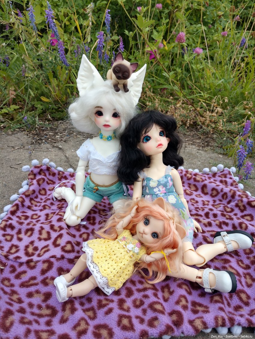 Пикник — Фотоистории с куклами BJD (БЖД): сериалы