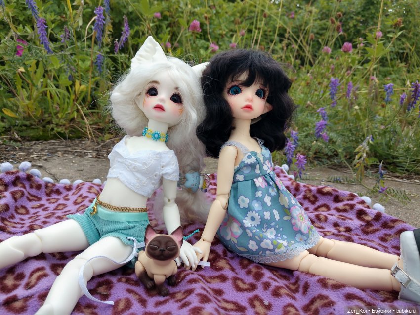 Пикник — Фотоистории с куклами BJD (БЖД): сериалы