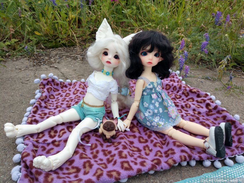 Пикник — Фотоистории с куклами BJD (БЖД): сериалы