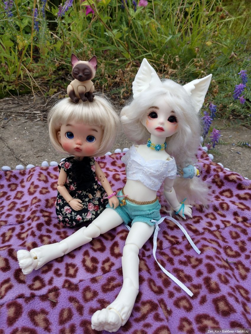 Пикник — Фотоистории с куклами BJD (БЖД): сериалы