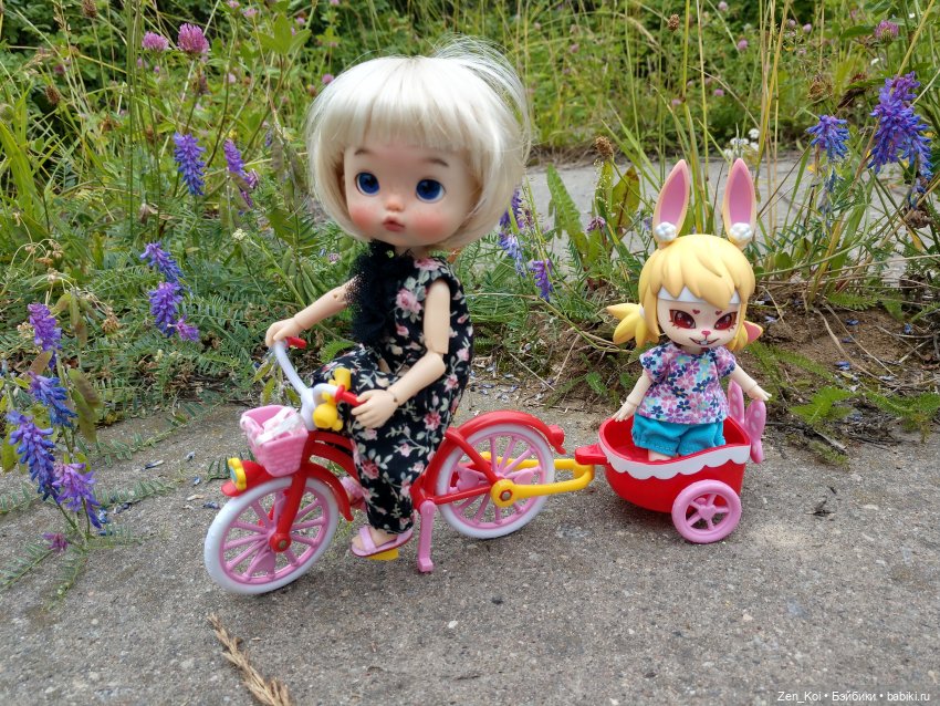 Пикник — Фотоистории с куклами BJD (БЖД): сериалы (фото 10)