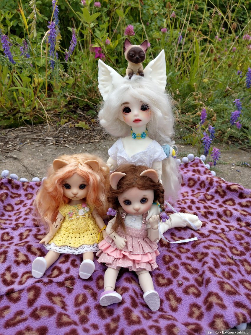 Пикник — Фотоистории с куклами BJD (БЖД): сериалы
