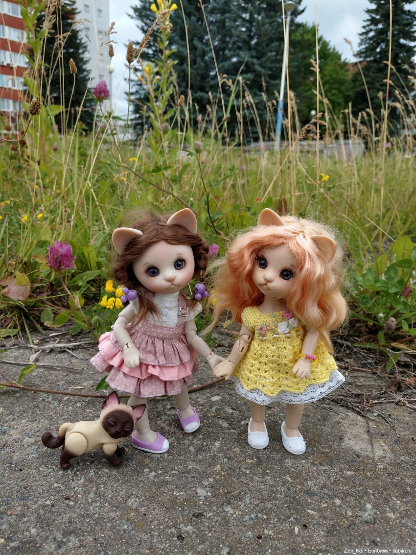 Пикник — Фотоистории с куклами BJD (БЖД): сериалы (фото 5)