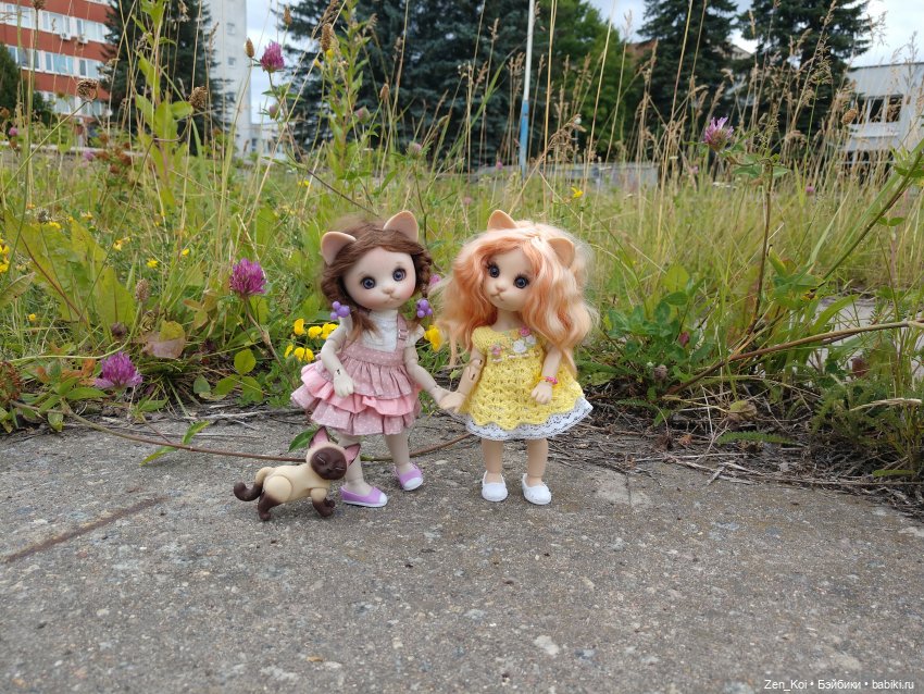 Пикник — Фотоистории с куклами BJD (БЖД): сериалы (фото 4)