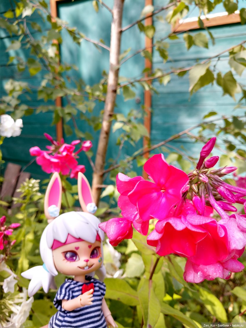 Лето Элиаса — Куклы Dream Valley (Дрим Валлей): BJD (БЖД)