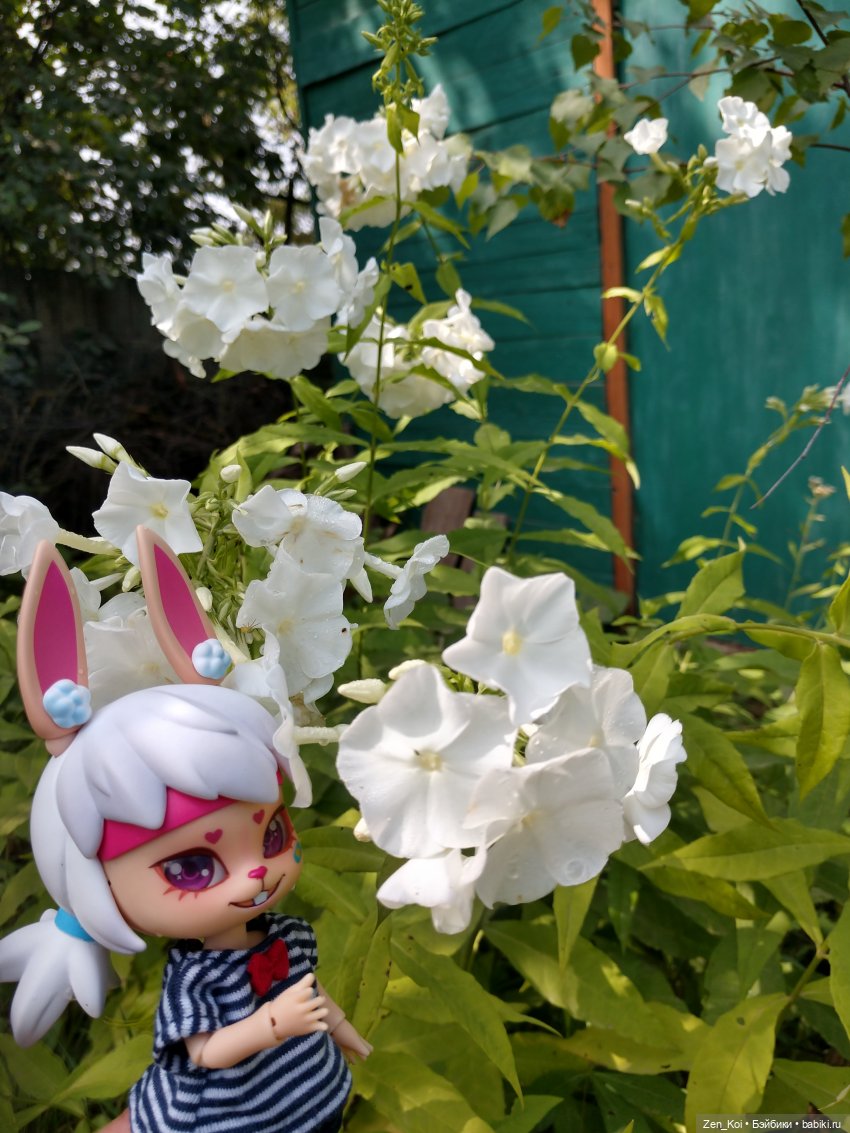 Лето Элиаса — Куклы Dream Valley (Дрим Валлей): BJD (БЖД)