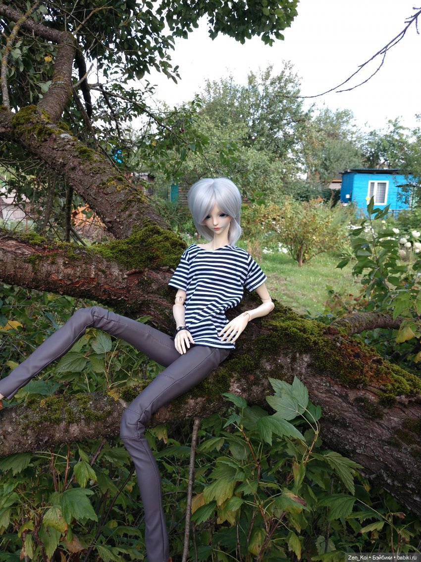 Лето Элиаса — Куклы Dream Valley (Дрим Валлей): BJD (БЖД) (фото 6)