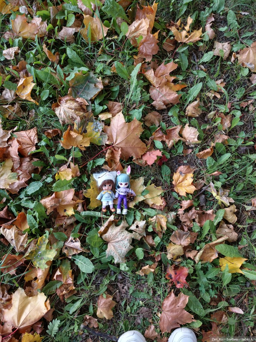 Прогулка в лесу — Фотоистории с куклами BJD (БЖД): сериалы
