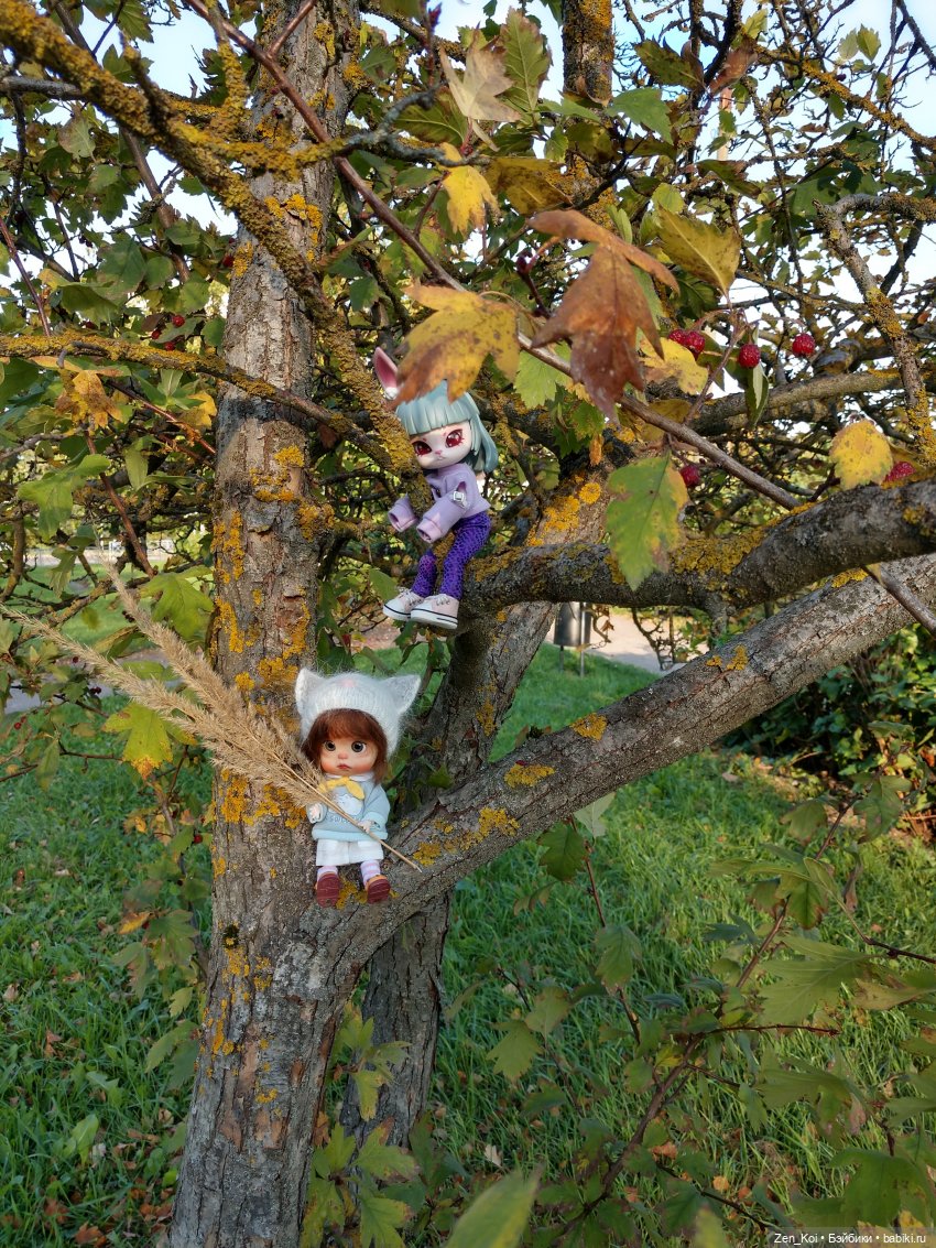 Прогулка в лесу — Фотоистории с куклами BJD (БЖД): сериалы