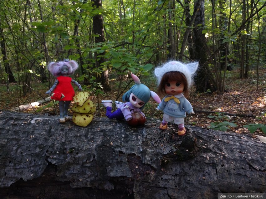 Прогулка в лесу — Фотоистории с куклами BJD (БЖД): сериалы
