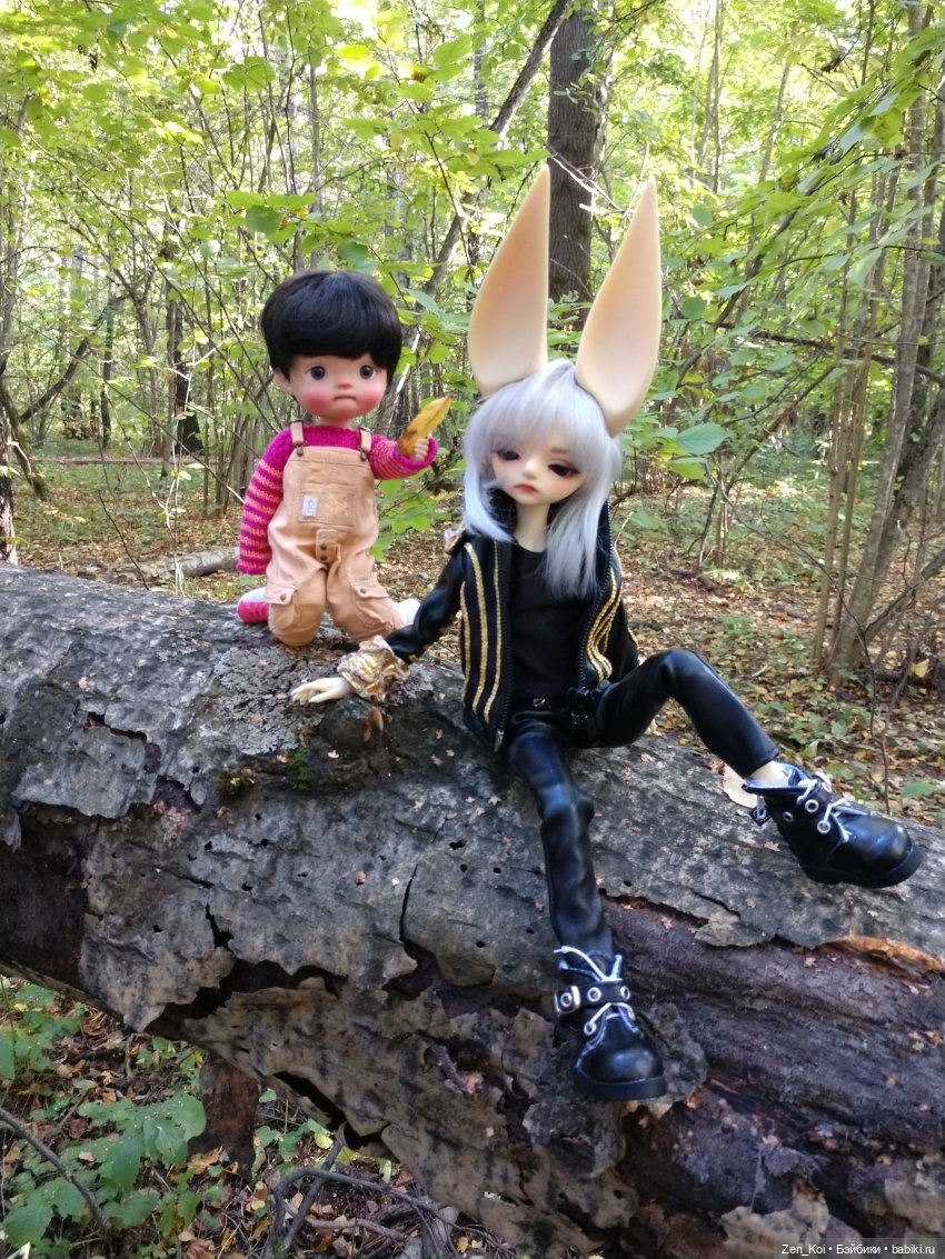 Прогулка в лесу — Фотоистории с куклами BJD (БЖД): сериалы (фото 3)
