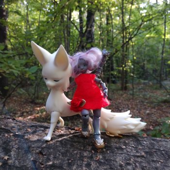 Прогулка в лесу