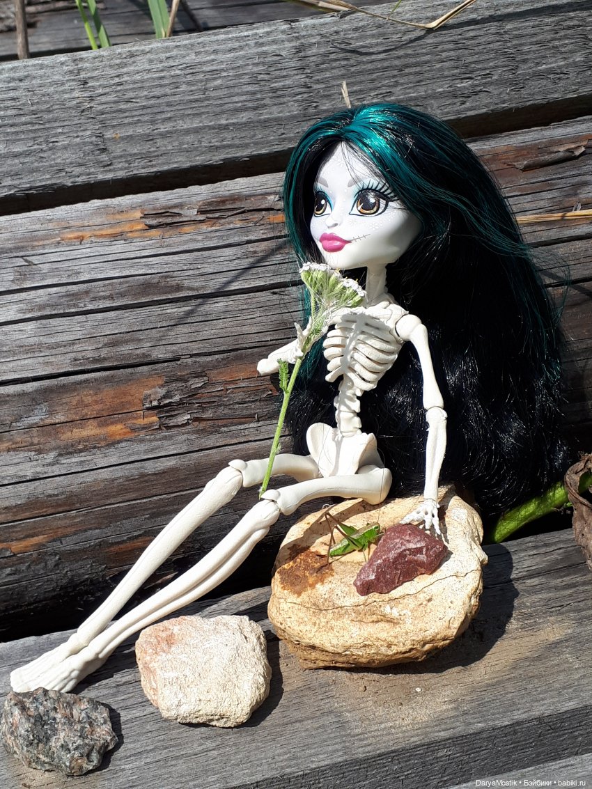 Косточки и красота — Куклы Monster High и Ever After High: G1 (фото 7)