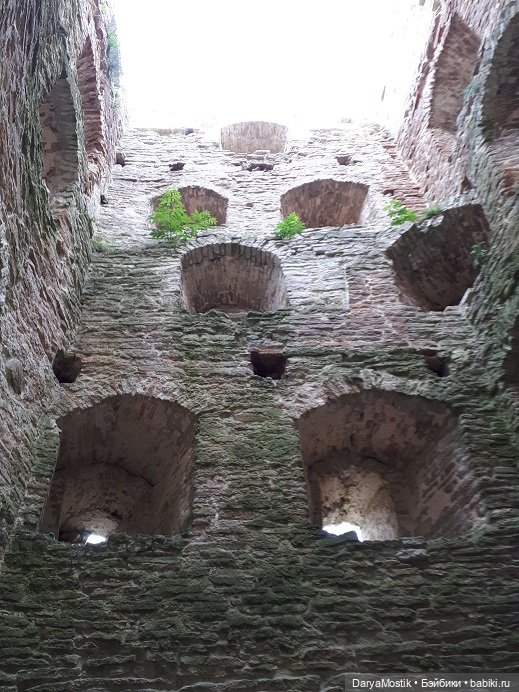 Мышонок на выгуле у крепостных стен (фото 3)