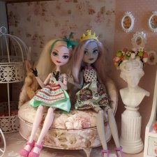 Полочная жизнь