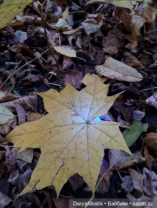 Помоги ближнему! Коробок — Игровые куклы разных производителей (Разное): редкие бренды (фото 4)