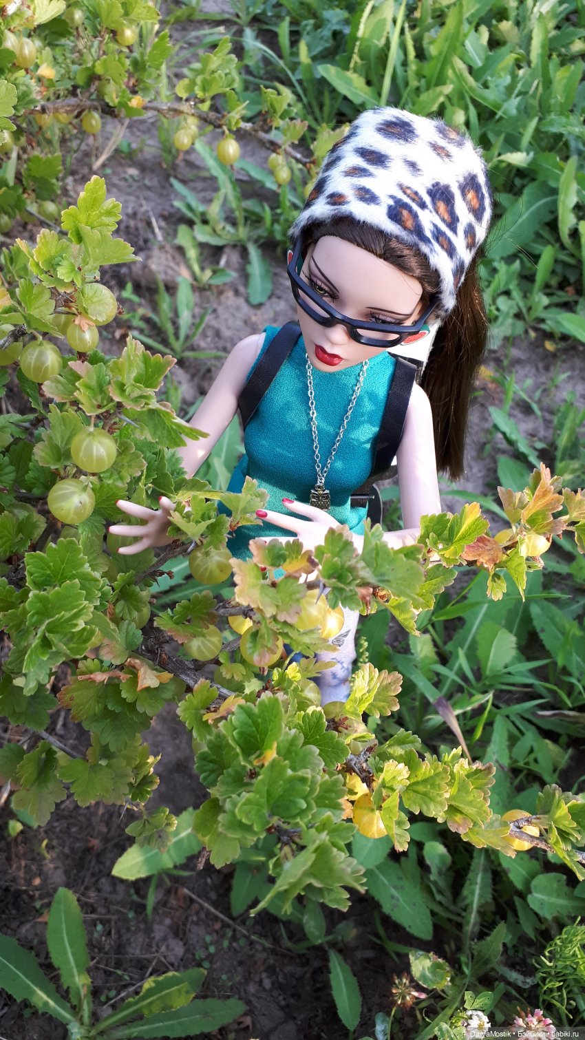 В деревню, в глушь, в Саратов (фото 2)