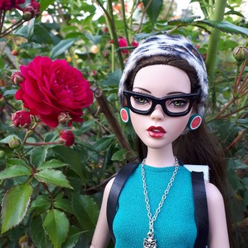 В деревню, в глушь, в Саратов