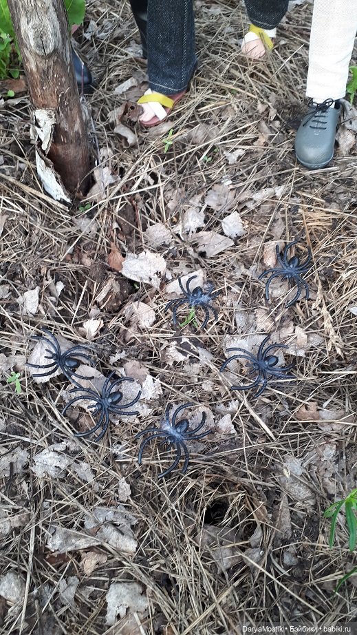 Грибоеды — Куклы