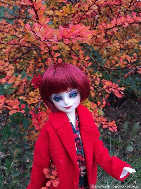 Прощание с ярким сезоном — Домашние коллекции кукол: фото собраний (фото 6)