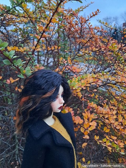 Прощание с ярким сезоном — Домашние коллекции кукол: фото собраний