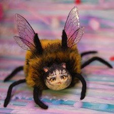 Пчёло-кото-паук