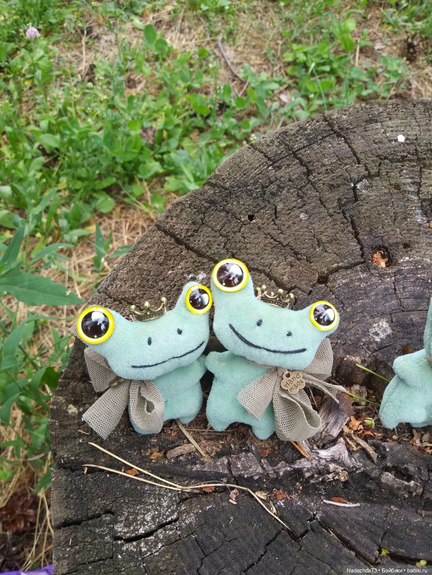 Лягушек много не бывает, особенно царевн (фото 7)
