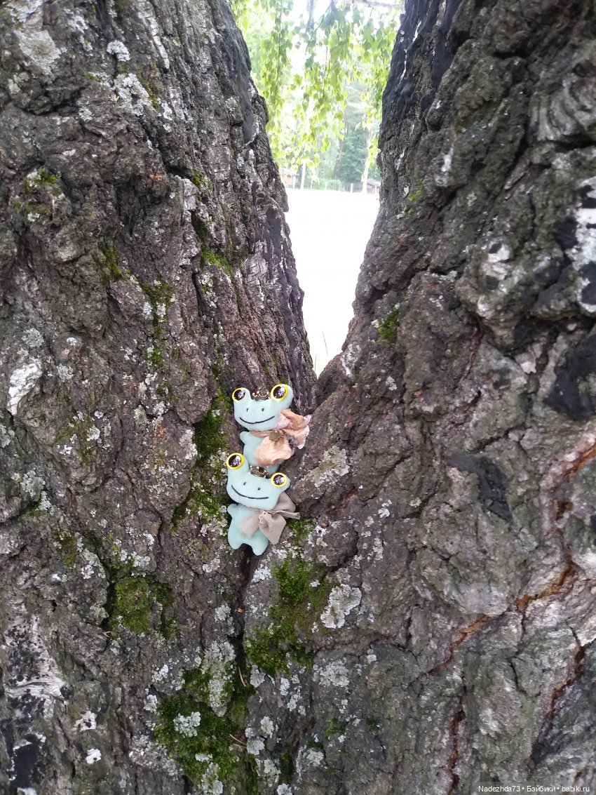 Лягушек много не бывает, особенно царевн (фото 10)