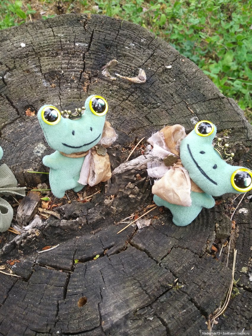 Лягушек много не бывает, особенно царевн (фото 8)