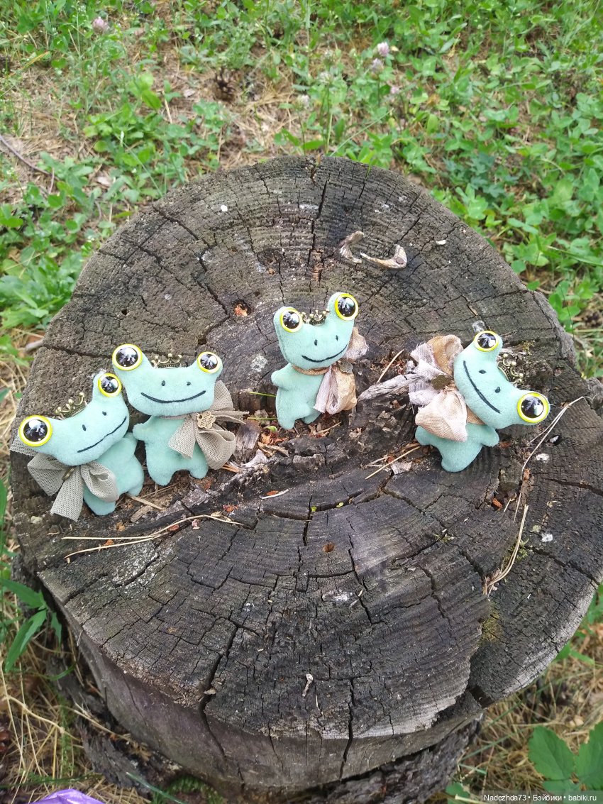 Лягушек много не бывает, особенно царевн (фото 9)