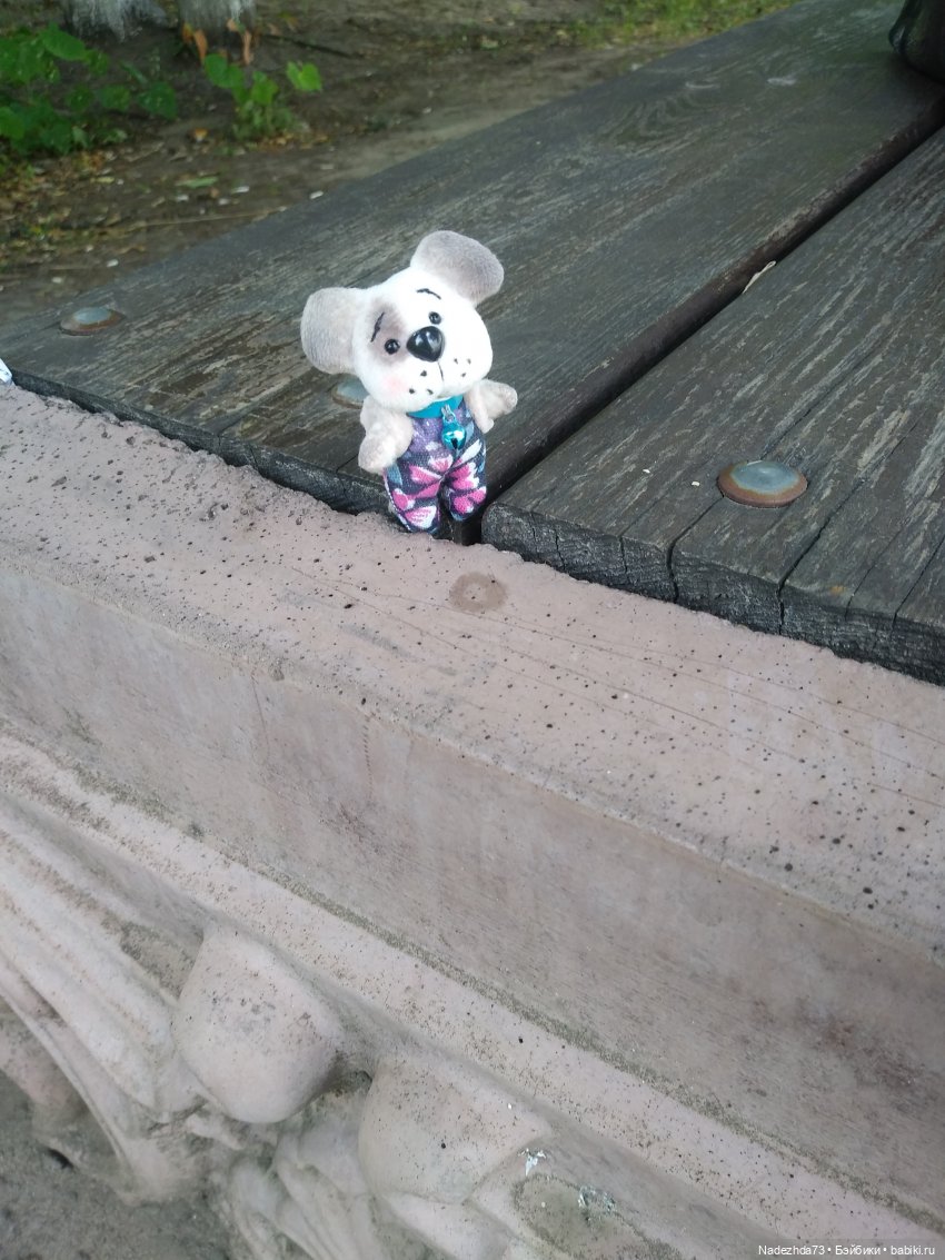 Хорошо, когда есть верный друг (фото 5)