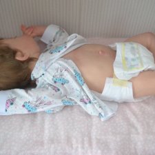 Мой долгожданный бурундучок! Доминика