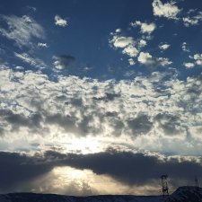 Немножко природы покажу. 19 мая. Заполярье