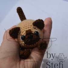 Ещё один котёнок Прошка