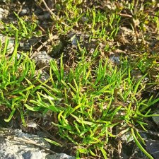 3 июня. Заполярье. Часть 3