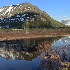 4 июня в Заполярье