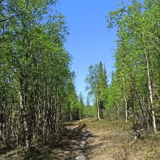 Заполярье. 11 июня 2021. Заключительная часть