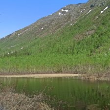 Заполярье. 11 июня 2021. Часть 2