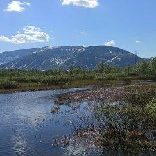 Заполярье. 11 июня 2021. Часть 1