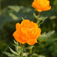 Выловили солнечный денёк 19.06.2021. Заполярье. Прогулка. Часть 5