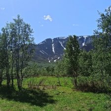 Выловили солнечный денёк 19.06.2021. Заполярье. Прогулка. Часть 2