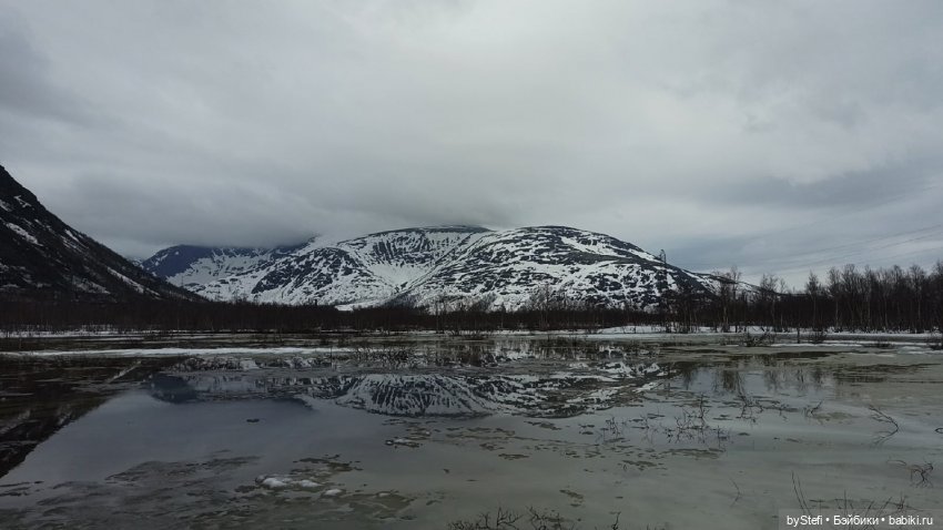 Покажу немного цветулек. Заполярье. Ну и контраст. Май и июнь